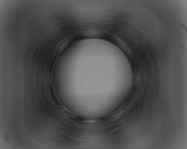 X0000096660117200802051005