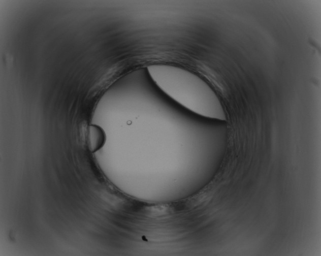 X0000096660118200802051005