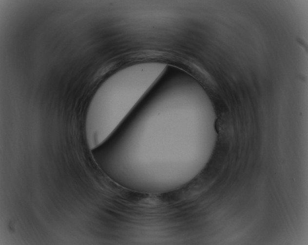 X0000096660119200802051005
