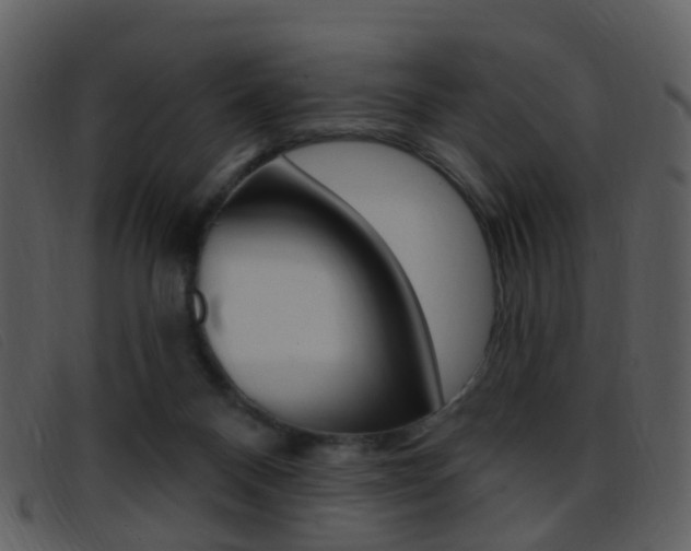 X0000096660120200802051005