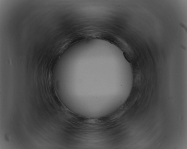 X0000096660121200802051005