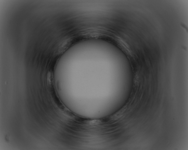 X0000096660122200802051005