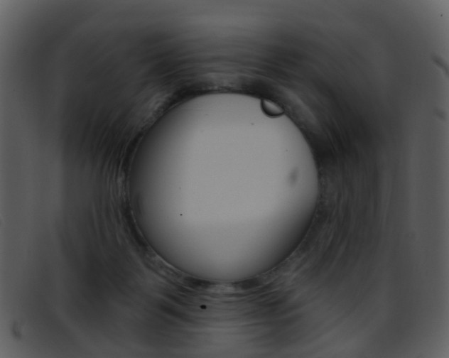 X0000096660123200802051005