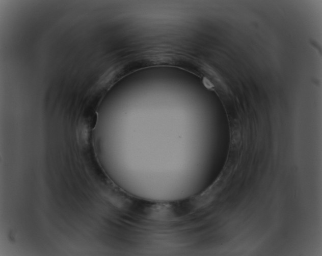 X0000096660124200802051005