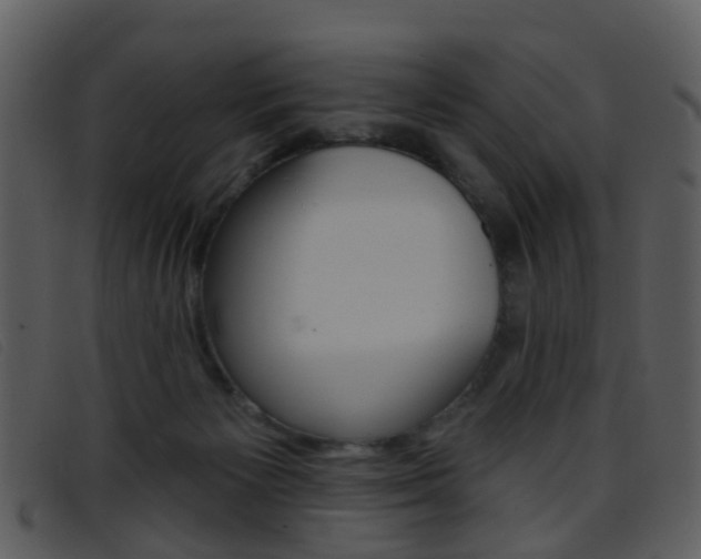 X0000096660125200802051005