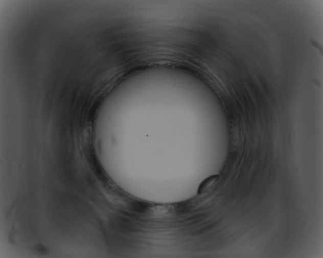 X0000096660126200802051005