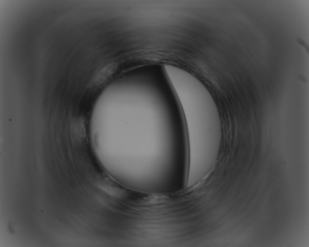 X0000096660128200802051005