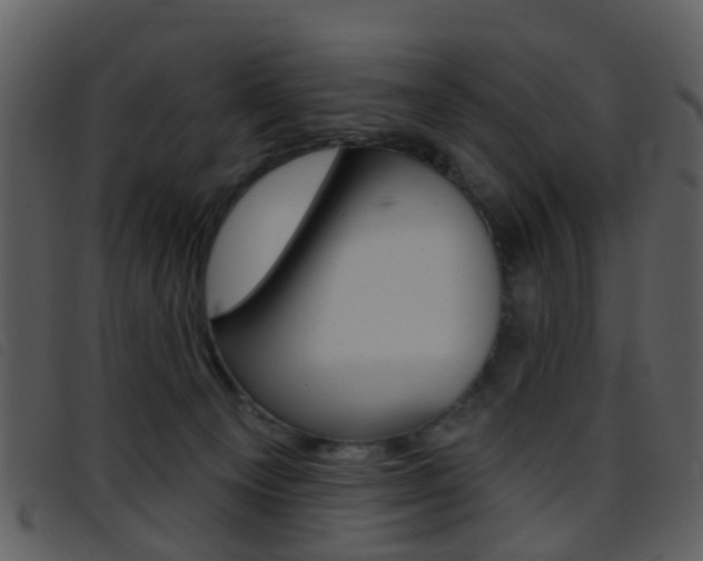 X0000096660129200802051005