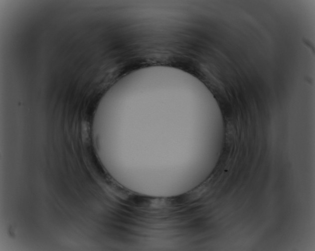 X0000096660130200802051005