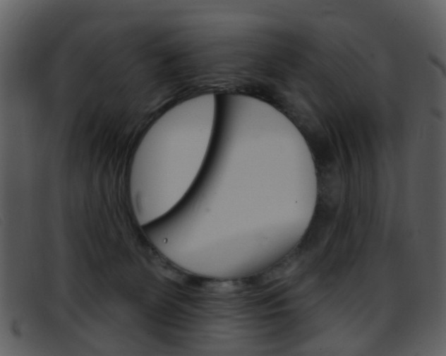 X0000096660131200802051005
