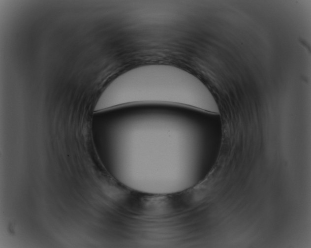 X0000096660132200802051005