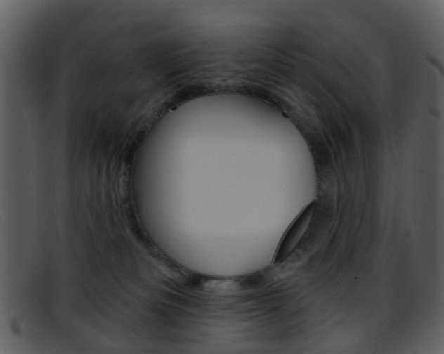 X0000096660133200802051005