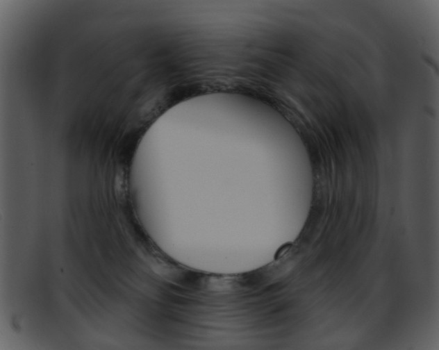 X0000096660134200802051005