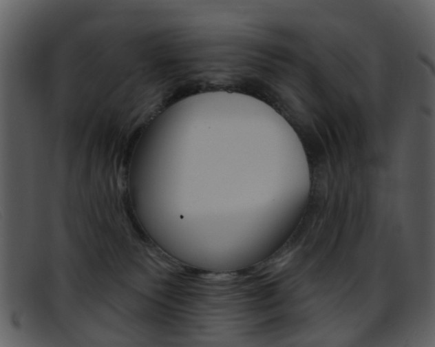 X0000096660135200802051005