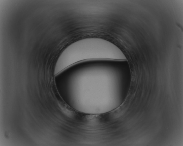 X0000096660136200802051005