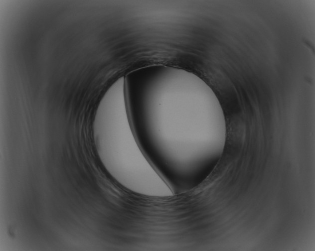 X0000096660137200802051005