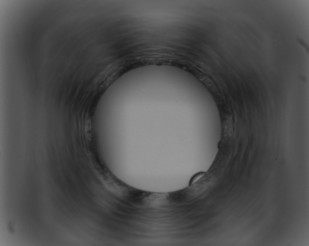 X0000096660138200802051005