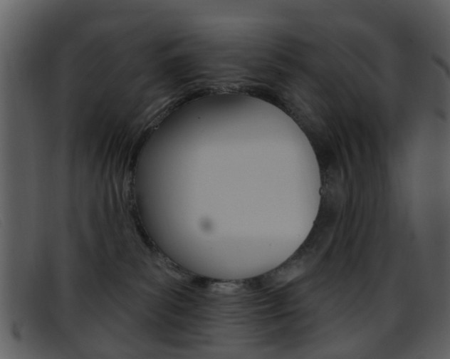 X0000096660139200802051005