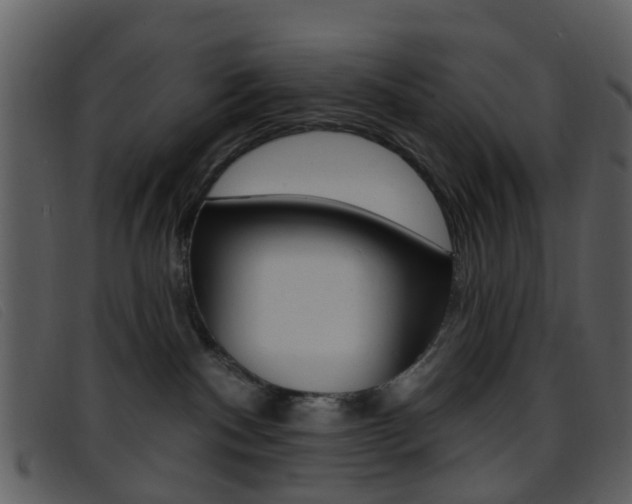 X0000096660140200802051005