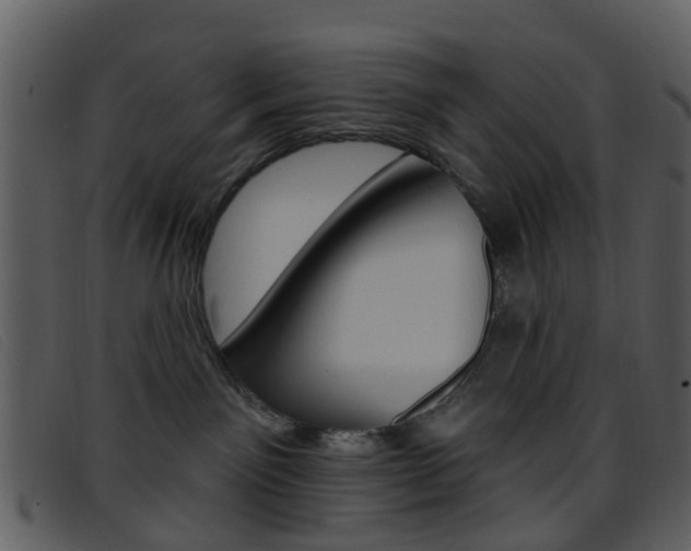 X0000096660141200802051005