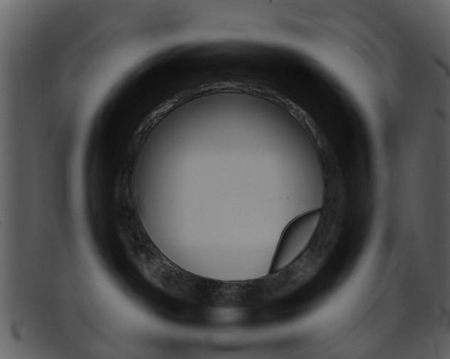 X0000096660142200802051005