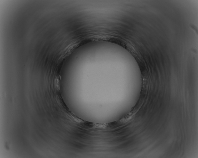 X0000096660143200802051005