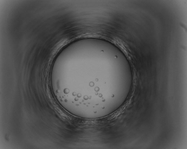 X0000096660145200802051004