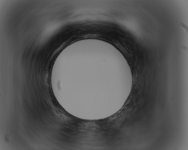 X0000096660146200802051004