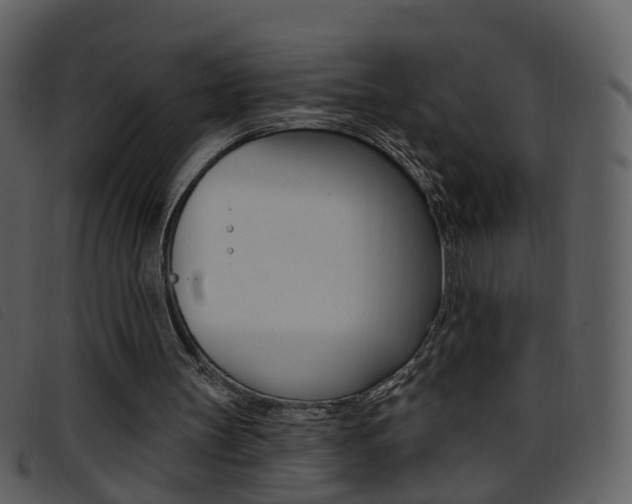 X0000096660147200802051004