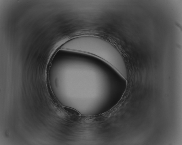 X0000096660148200802051004