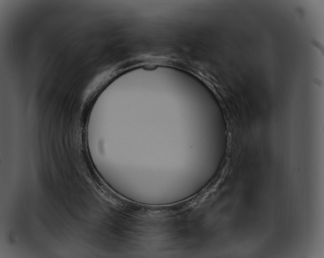 X0000096660149200802051004