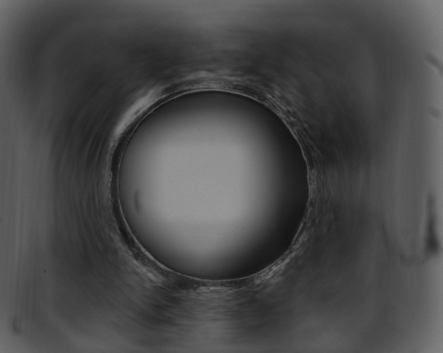 X0000096660150200802051004