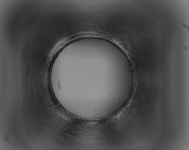 X0000096660151200802051004