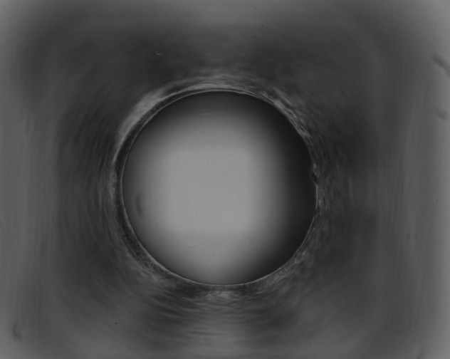 X0000096660152200802051004