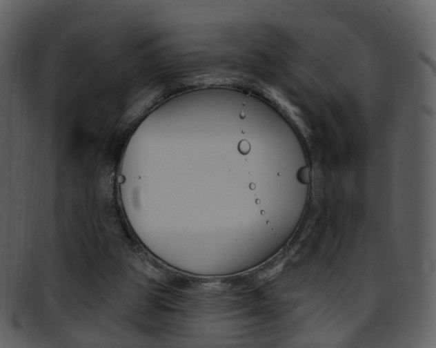 X0000096660153200802051004