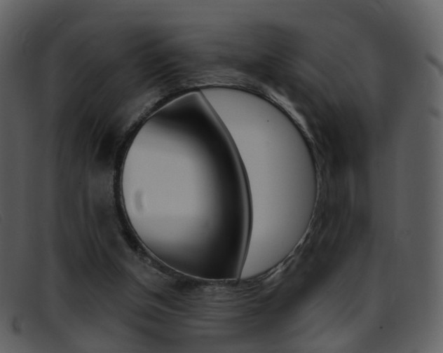 X0000096660154200802051004
