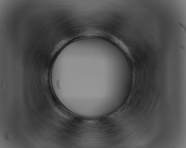 X0000096660155200802051004