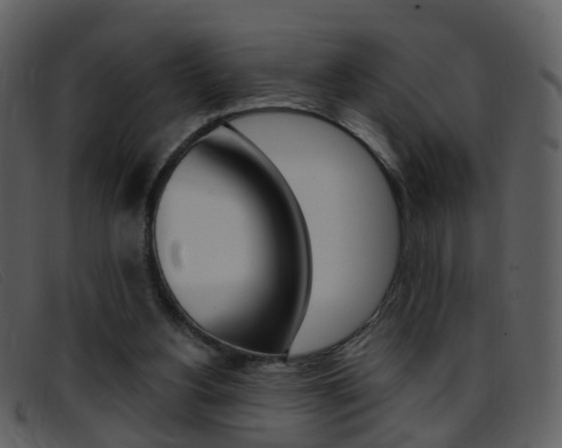 X0000096660156200802051004
