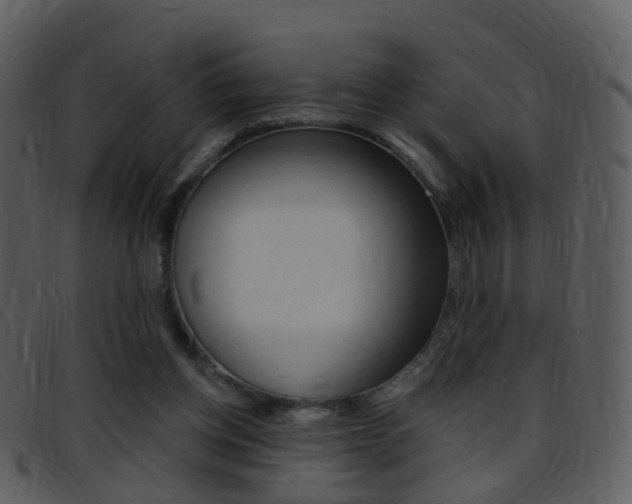 X0000096660158200802051004