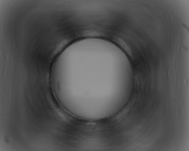 X0000096660159200802051004
