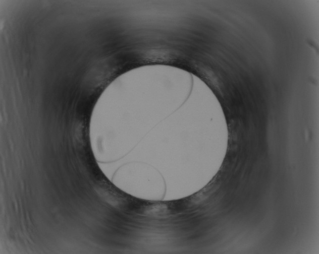X0000096660162200802051004