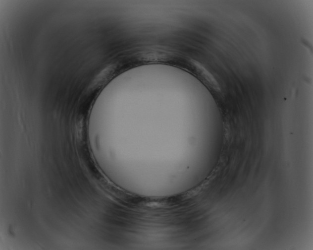 X0000096660163200802051004
