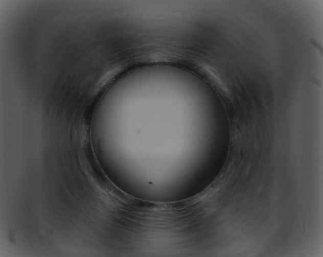 X0000096660164200802051004