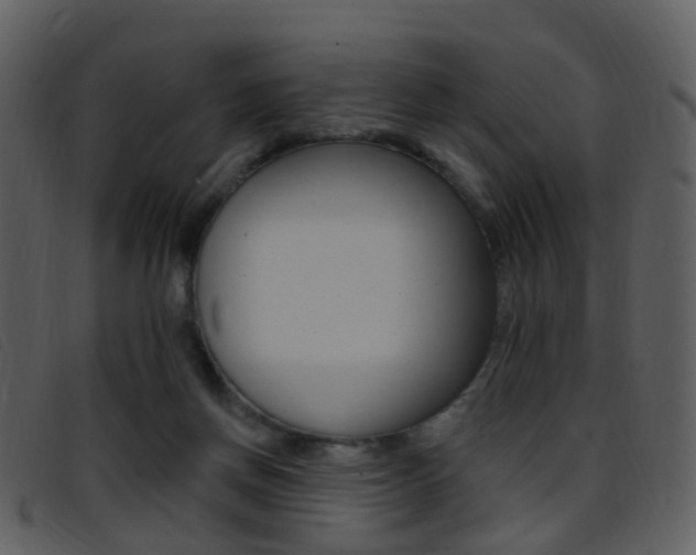 X0000096660166200802051004
