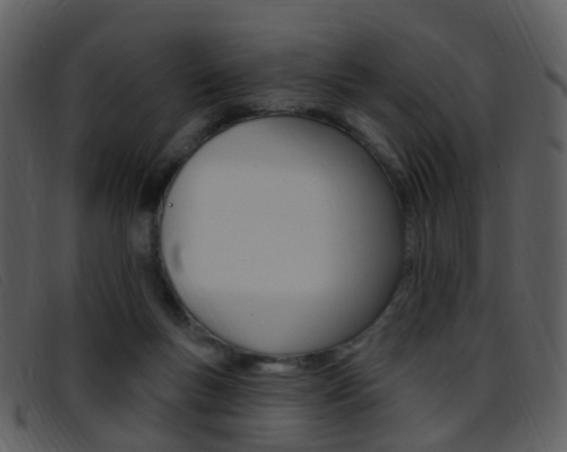 X0000096660167200802051004