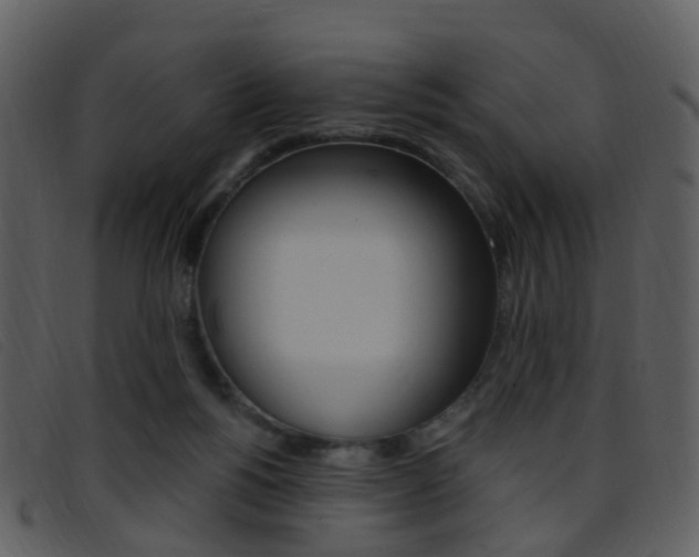 X0000096660168200802051004