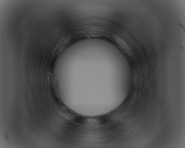 X0000096660169200802051004