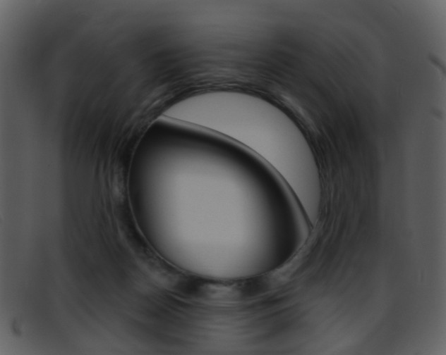 X0000096660170200802051004