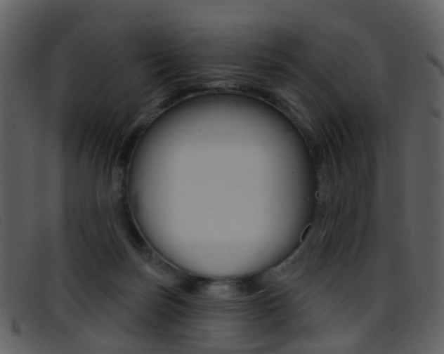 X0000096660171200802051004