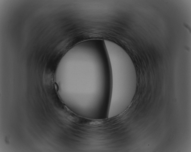 X0000096660172200802051004